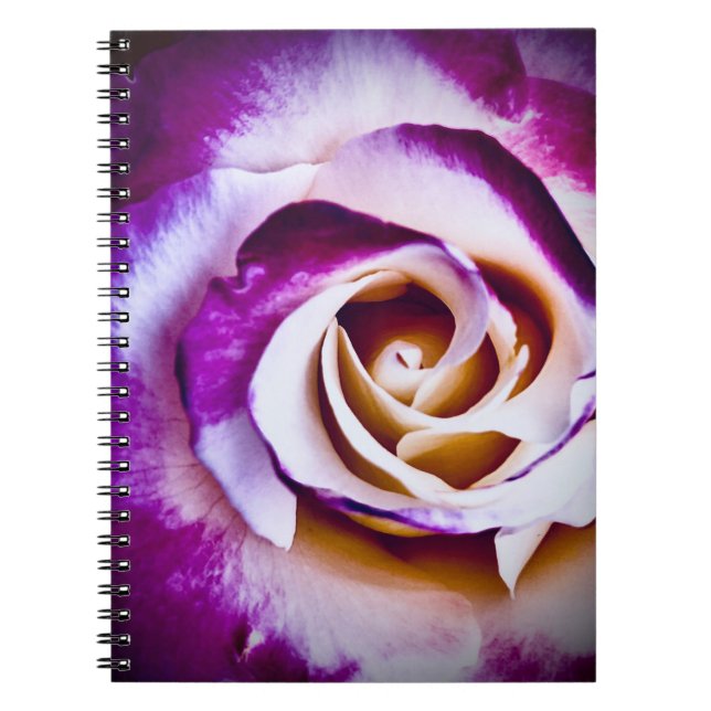 Helle Lila Blume Notebook Notizblock (Vorderseite)