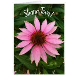 Helle Lila Coneflower Rosh Hashanah Card