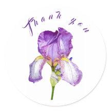 Helle Lila Iris Botanische Kunst Vielen Dank Stick