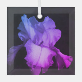 Helle Lila Iris Foto Keramik Ornament Aus Glas
