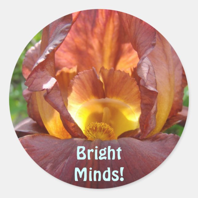 Helle Minds! Magnete glühende Iris-Blume Schüler Runder Aufkleber (Vorderseite)