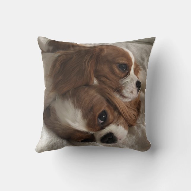 helle mittelblaue Kissen (Rückseite)