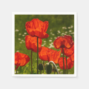 Helle Mohnblumen Serviette