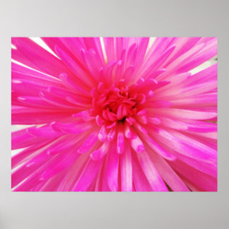 Helle Neon Pink Football Blume Nah-up Poster