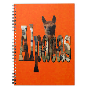 Helle Orange Alpaca, Notizblock