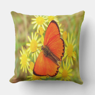 Helle Orange Butterfly Gelbe Blumen Kissen Für Draußen