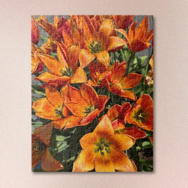 Helle Orange Calypso-Tulpen-Puzzle (Von Creator hochgeladen)