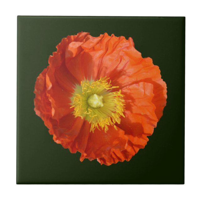 Helle Orange Poppy Blume Fliese (Vorderseite)