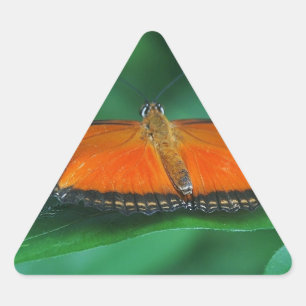 Helle orange-schwarze Schmetterling auf Blatt Dreieckiger Aufkleber