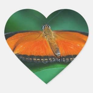 Helle orange-schwarze Schmetterling auf Blatt Herz-Aufkleber