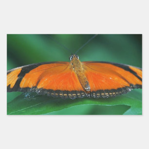 Helle orange-schwarze Schmetterling auf Blatt Rechteckiger Aufkleber