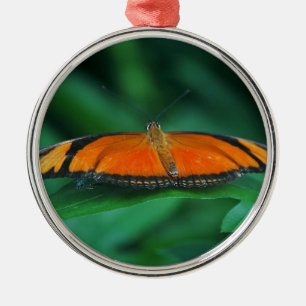 Helle orange-schwarze Schmetterling auf Blatt Silbernes Ornament