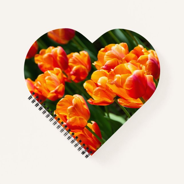 Helle orange Tulpen im Park    Notizbuch (Vorderseite)