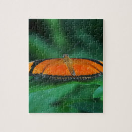 Helle Orange und schwarze Schmetterlinge auf der l