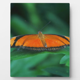 Helle Orange und schwarze Schmetterlinge auf der l Fotoplatte
