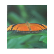 Helle Orange und schwarze Schmetterlinge auf der l