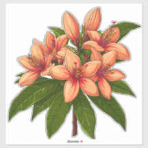 Helle orangefarbene Hibiskusblumenbouquet