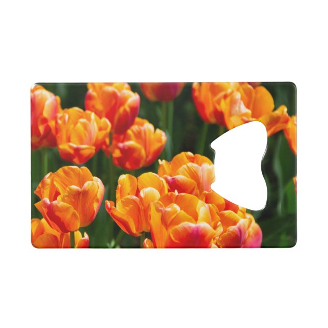 Helle orangefarbene Tulpen im Park Geldbeutel Flaschenöffner (Vorderseite (Horizontal))