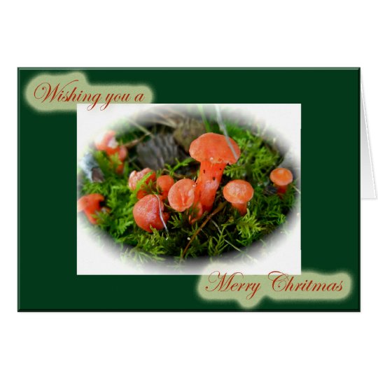 Helle Pilz-Weihnachtskarte Karte