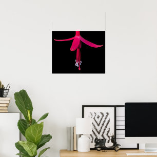 Helle rosa Fuchsienblüte auf Schwarz Poster