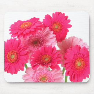 Helle rosa Gerbera-Gänseblümchen Mousepad