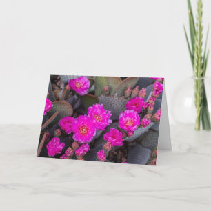 Helle rosa Kaktusblüte Ich denke an Dich individ Karte