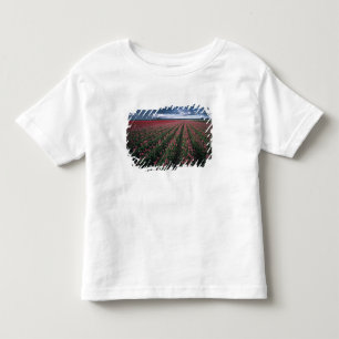 Helle rosa und rote Tulpen leuchten unter dunklen  Kleinkind T-shirt