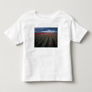 Helle rosa und rote Tulpen leuchten unter dunklen Kleinkind T-shirt