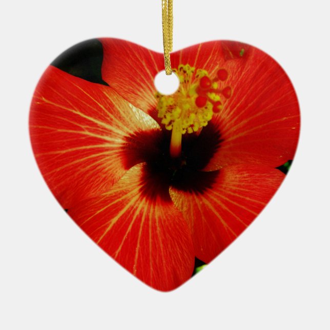 Helle Rot-Orange-Hibiskus-Blume Keramik Ornament (Vorne)