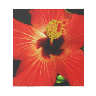Helle Rot-Orange-Hibiskus-Blume Notizblock