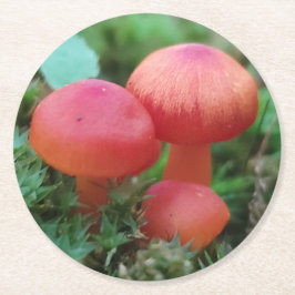 Helle Rot-Pilze im Waldboden Runder Pappuntersetzer
