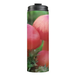 Helle Rot-Pilze im Waldboden Thermosbecher