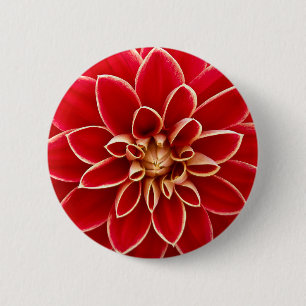 Helle rote Dahlie Button
