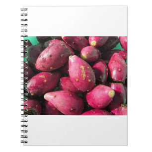 Helle rote Kaktusfeige-Kaktus-Frucht Notizblock