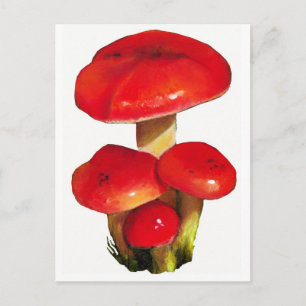 Helle Rote Pilze: Ölpastellfarben Kunst in Weiß Postkarte