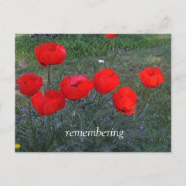 Helle Rote Popper Postkarte