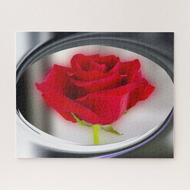Helle rote Rose (Horizontal)