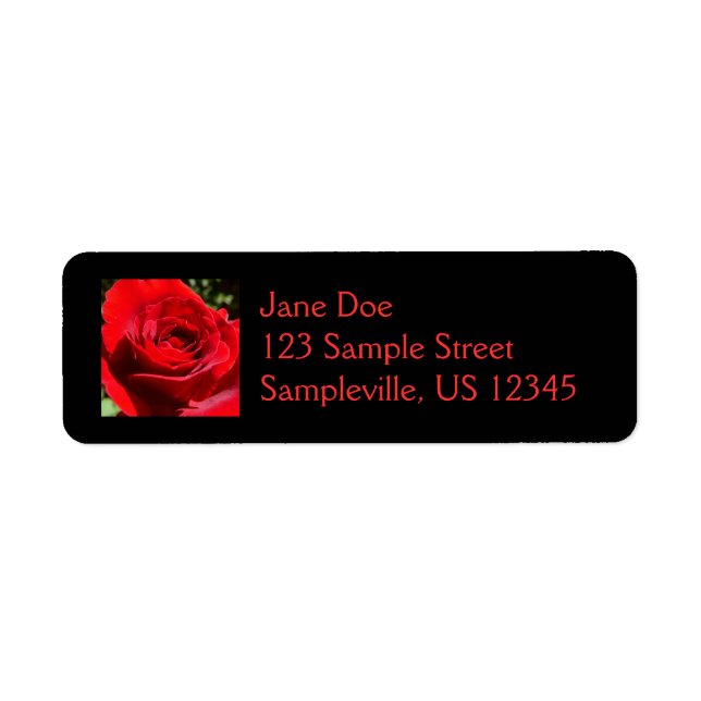Helle Rote Rose Blume Schöne Blumenpracht (Vorne)
