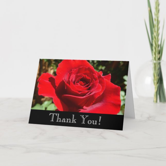 Helle Rote Rose Blume Schöne Blumenpracht Dankeskarte (Vorderseite)