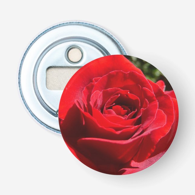 Helle Rote Rose Blume Schöne Blumenpracht Flaschenöffner (Vorderseite)