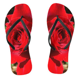 Helle Rote Rose Blume Schöne Blumenpracht Flip Flops