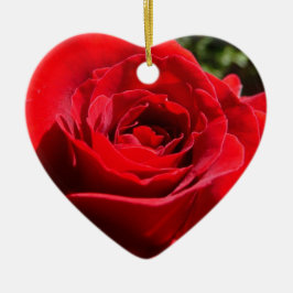 Helle Rote Rose Blume Schöne Blumenpracht Keramikornament