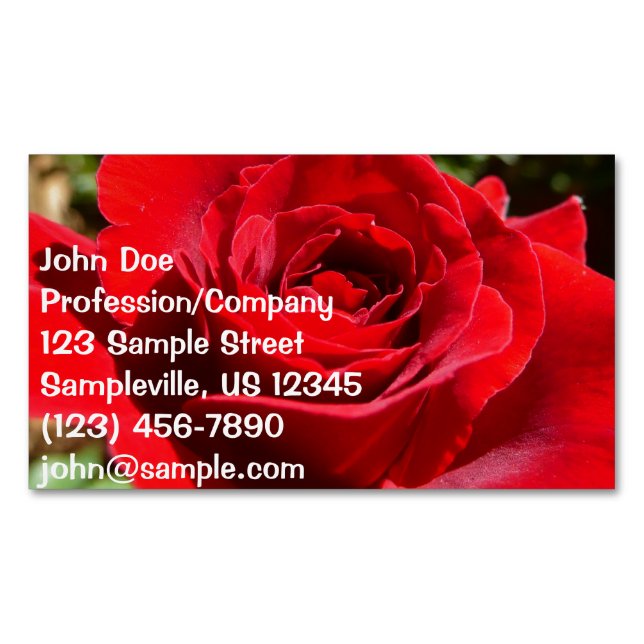Helle Rote Rose Blume Schöne Blumenpracht Magnetische Visitenkarte (Vorderseite)