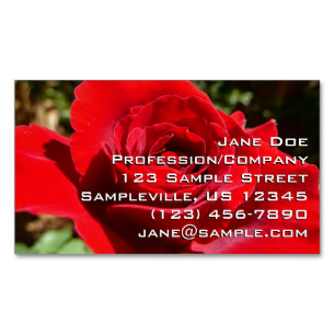 Helle Rote Rose Blume Schöne Blumenpracht Magnetische Visitenkarte