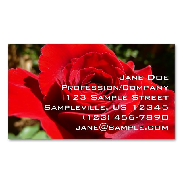 Helle Rote Rose Blume Schöne Blumenpracht Magnetische Visitenkarte (Vorderseite)
