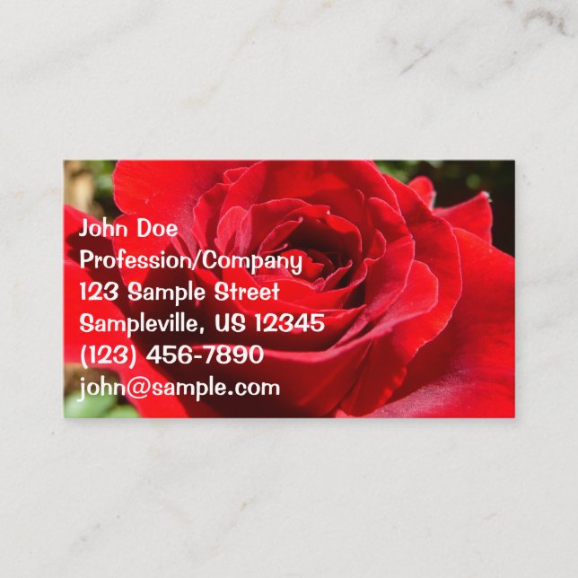 Helle Rote Rose Blume Schöne Blumenpracht Visitenkarte (Vorderseite)