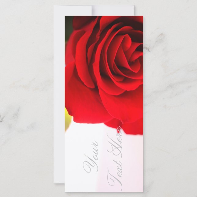 Helle Rote Rose Hinzufügen der Textflasenkarte (Vorderseite)