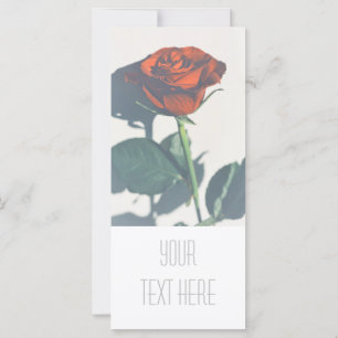 Helle Rote Rose Hinzufügen der Textflasenkarte