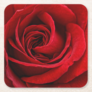Helle rote Rose Nahaufnahme Rechteckiger Pappuntersetzer