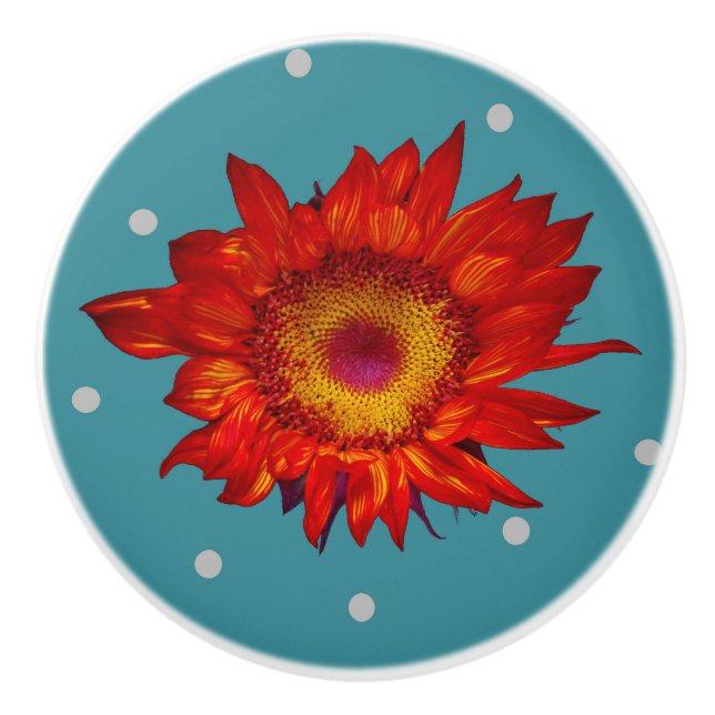 Helle rote Sonnenblume auf blauem Keramikknauf (Vorderseite)